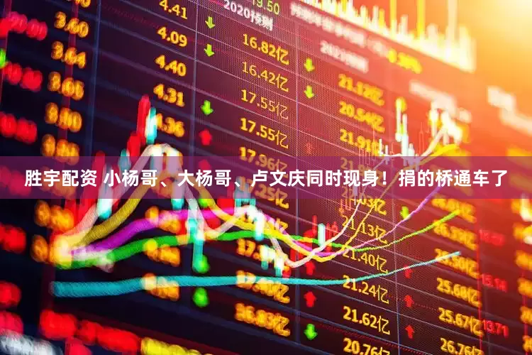 胜宇配资 小杨哥、大杨哥、卢文庆同时现身！捐的桥通车了