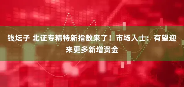 钱坛子 北证专精特新指数来了！市场人士：有望迎来更多新增资金