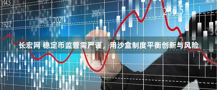 长宏网 稳定币监管需严谨,用沙盒制度平衡创新与风险