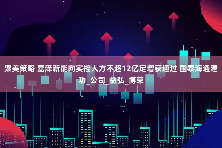 聚美策略 嘉泽新能向实控人方不超12亿定增获通过 国泰海通建功_公司_益弘_博荣