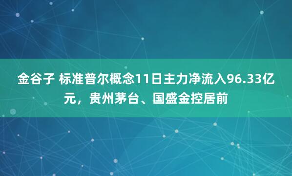 金谷子 标准普尔概念11日主力净流入96.33亿元，贵州茅台、国盛金控居前