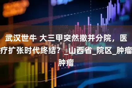 武汉世牛 大三甲突然撤并分院，医疗扩张时代终结？_山西省_院区_肿瘤