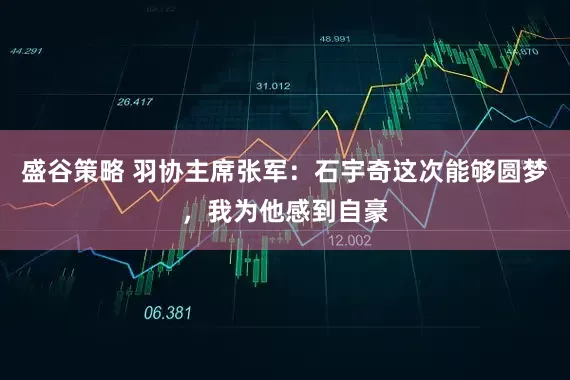 盛谷策略 羽协主席张军：石宇奇这次能够圆梦，我为他感到自豪