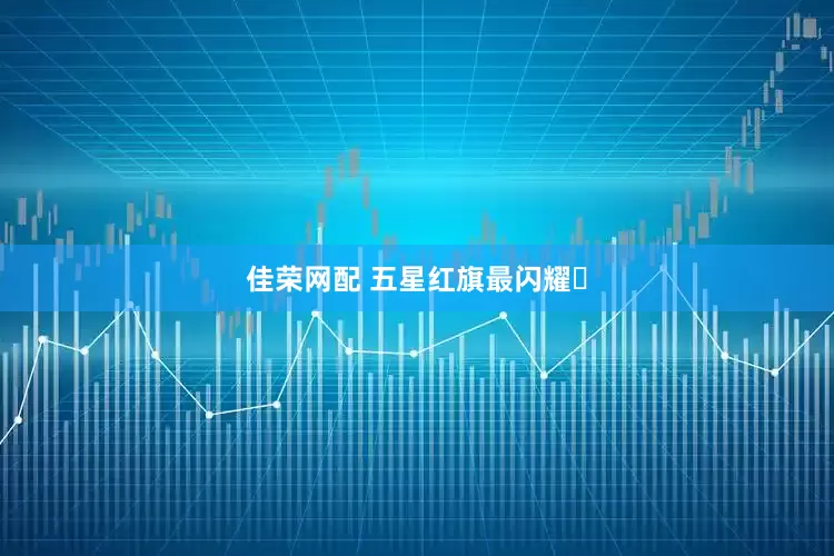 佳荣网配 五星红旗最闪耀️